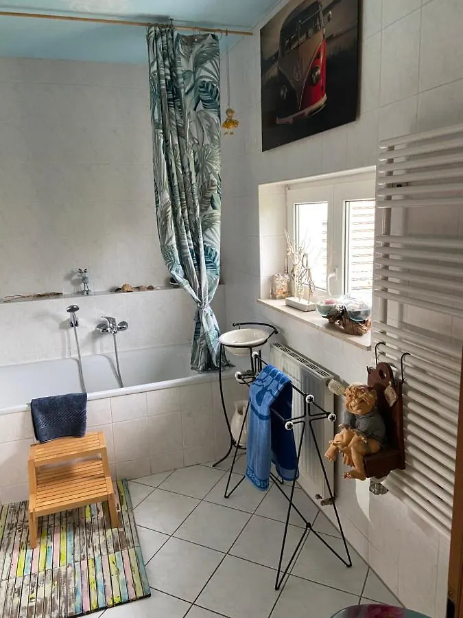 Dachterrassen Idylle Ueber Den Daechern Dresdens