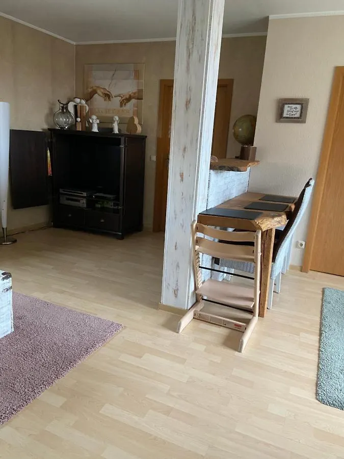 Appartement Dachterrassen Idylle Ueber Den Daechern Dresdens