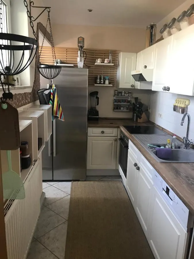 Dachterrassen Idylle Ueber Den Daechern Dresdens 0*, Dresde